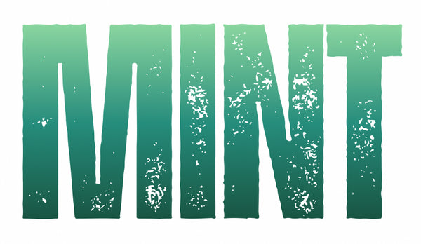 Mint clothing 